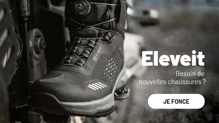 Eleveit