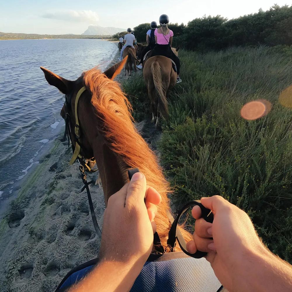 Bandeau de fixation frontale 2.0