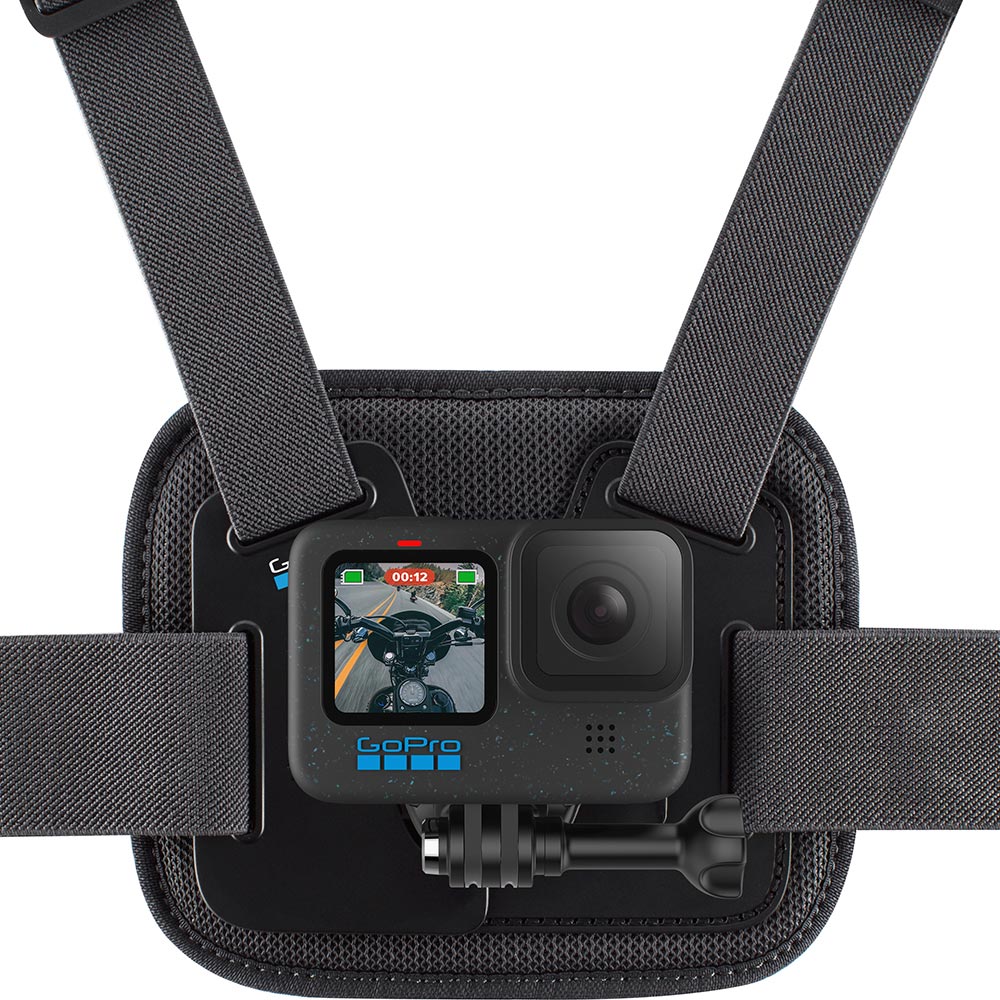 Fixation de poitrine Chesty