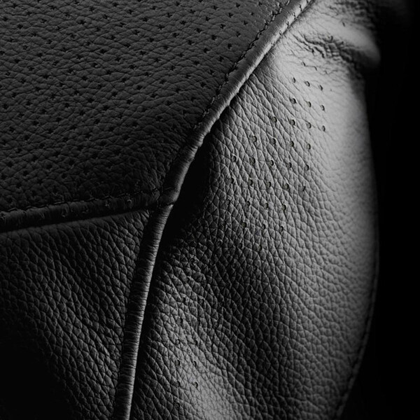 Blouson femme Raptor Lady