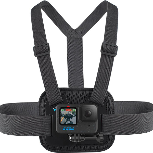 Fixation de poitrine Chesty