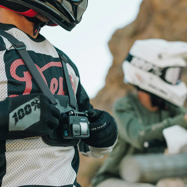 Fixation de poitrine Chesty