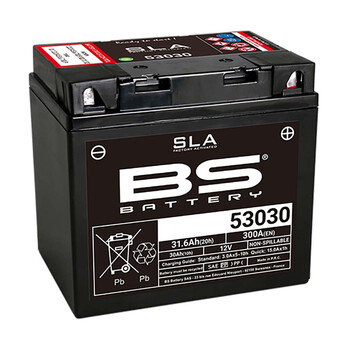 Batterie 53030 SLA BS Battery