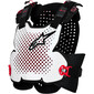 alpinestars-pare-pierres-a-4-plasma-1.jpg