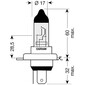Ampoule H4 Night Racer 50