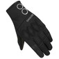 Gants Nassau