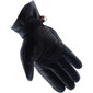 Gants Horizon Evo Hiver
