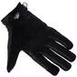 Gants Logo "Hinckley"