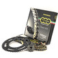 Kit Chaîne 95T067501-REG525ZRA