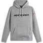 sweat-a-capuche-alpinestars-linear-wordmark-v3-gris-clair-rouge-noir-1.jpg